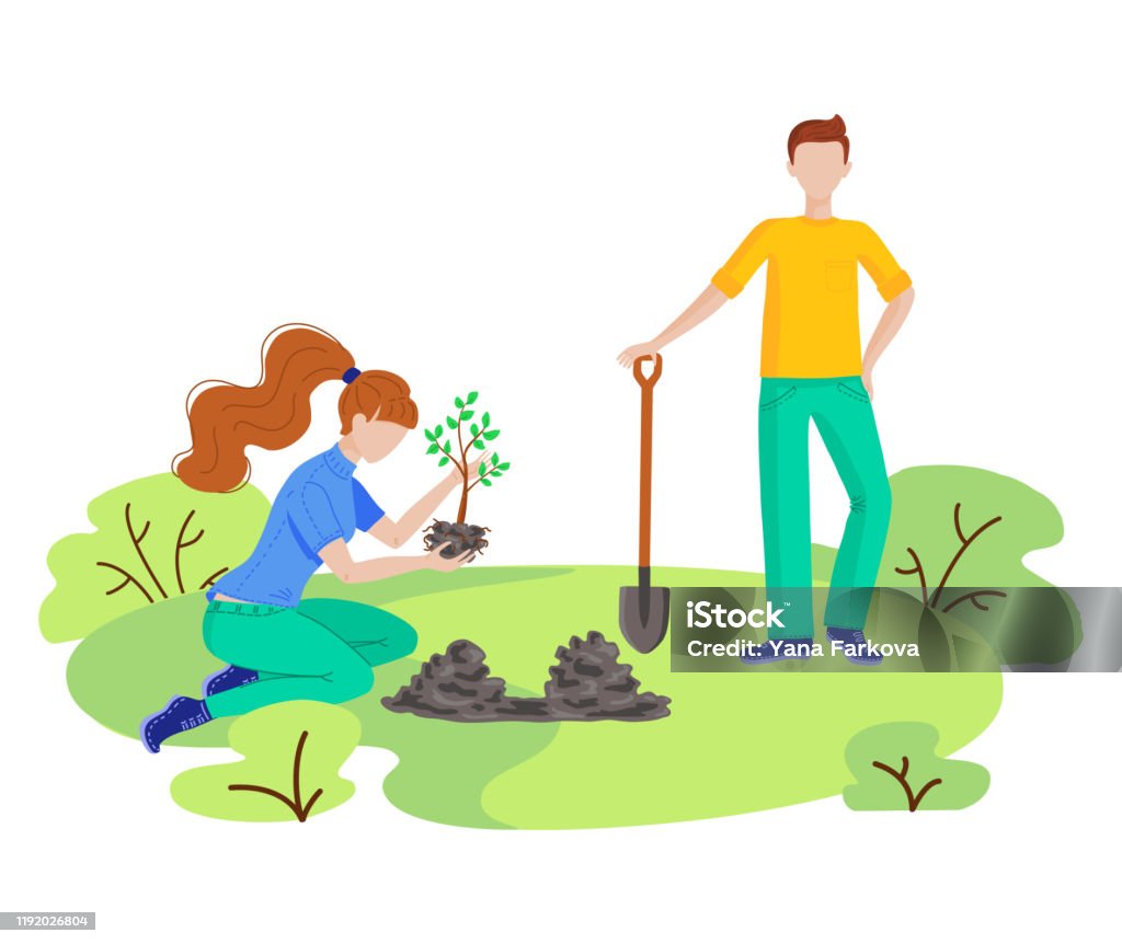 Voluntários plantam árvores, limpando lixo. - Vetor de Adolescente royalty-free