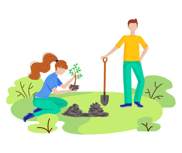 ilustrações, clipart, desenhos animados e ícones de voluntários plantam árvores, limpando lixo. - mulher catando lixo