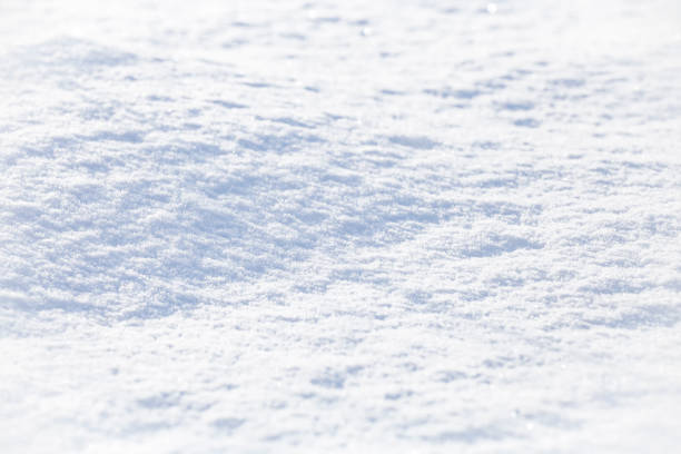 istock Background of sparkling fresh white snow texture with light blue sky reflection tone. 1192026867