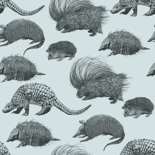 Vector illustration of Porcupine Armadillo, Hedgehog, Pangolin seamless repeat