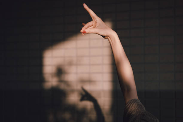 The Day I Met My Shadow.