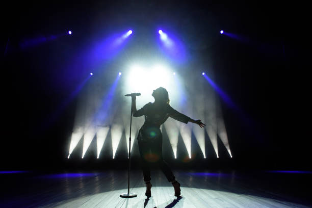 silhouette di cantante sul palco. sfondo scuro, fumo, faretti. - microphone stage music popular music concert foto e immagini stock