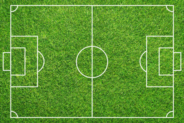 istock Soccer field on green grass 1192036678