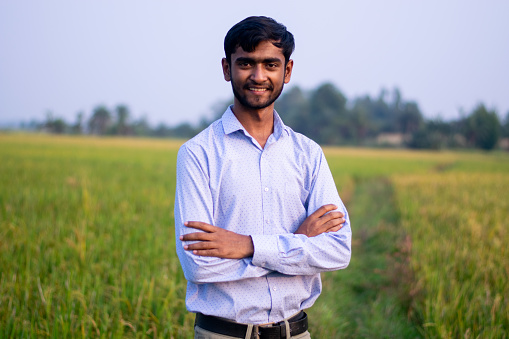 Young Indian farmer standing and inspecting crops in paddy field