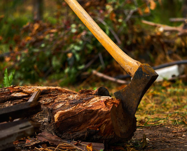 istock an ax sticking out against a bonfire 1192039945