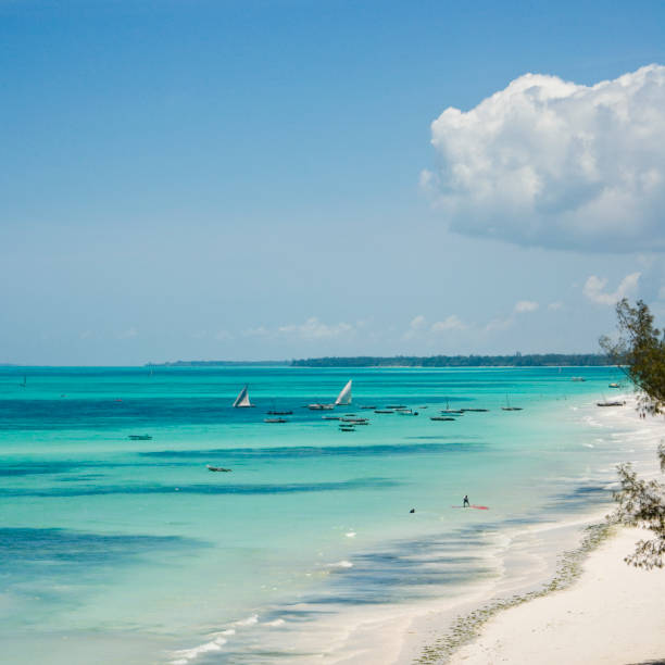 Indian Ocean off the coast of Zanzibar
