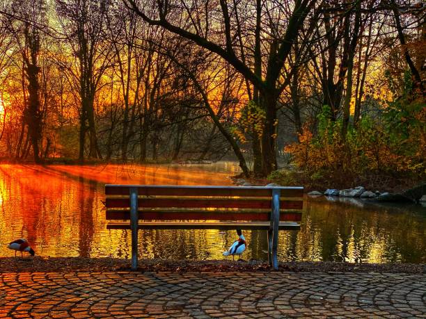 istock Park with Autumn colors 1192047983