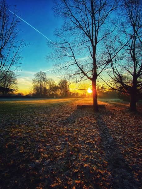 istock Park with Autumn colors 1192048071
