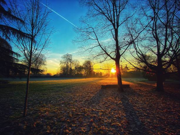 istock Park with Autumn colors 1192048087