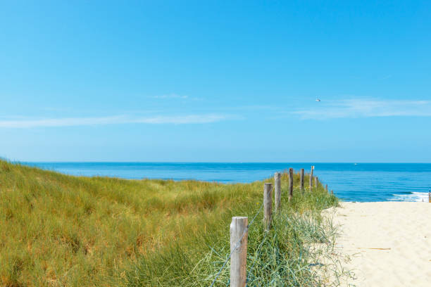istock Dunes at the beach with Beachgrass during a beautiful summer day 1192052319