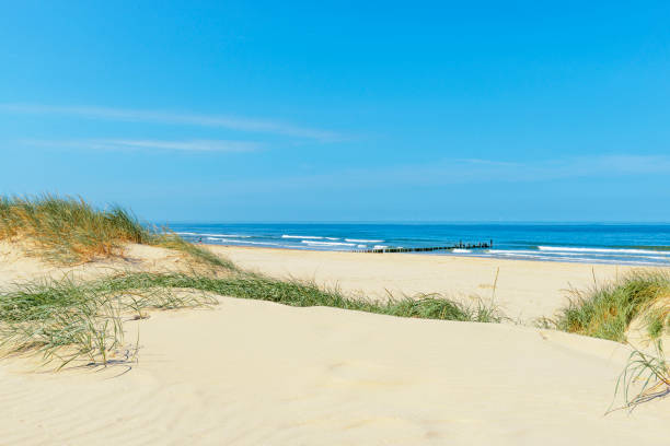 istock Dunes at the beach with Beachgrass during a beautiful summer day 1192052865