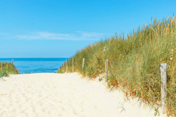 istock Dunes at the beach with Beachgrass during a beautiful summer day 1192052893