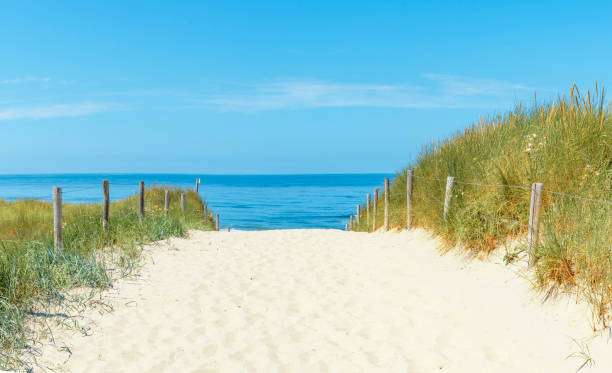 istock Dunes at the beach with Beachgrass during a beautiful summer day 1192053036