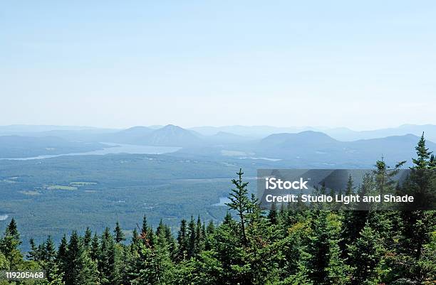 Foto de Spruce Floresta E Montanhas Envoltas Em Brumas e mais fotos de stock de Ambiente dramático - Ambiente dramático, As Américas, Azul