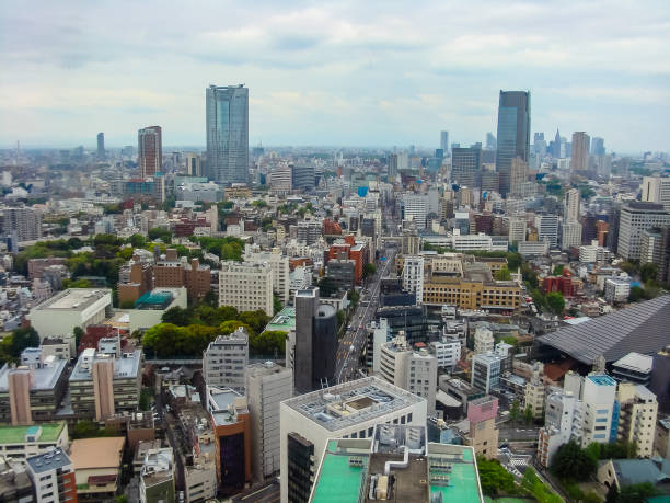 istock Panoramic view of Tokyo, Japan 1192061387