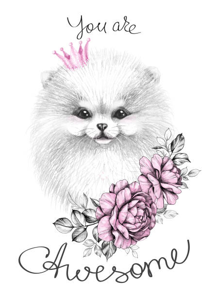 illustrazioni stock, clip art, cartoni animati e icone di tendenza di pomerania con corona rosa e rose - spitz type dog immagine