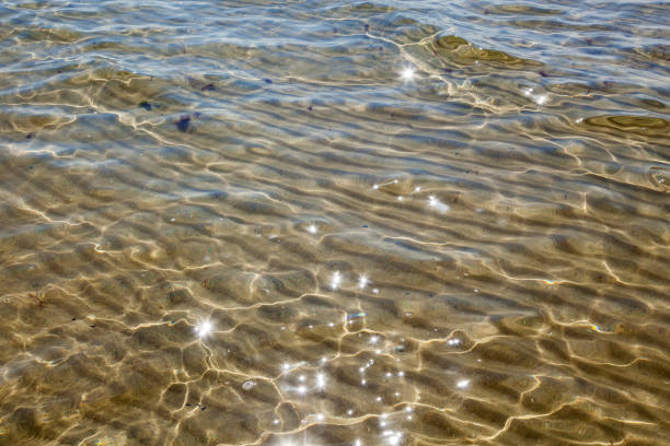 istock Pure water in a lake 1192070477