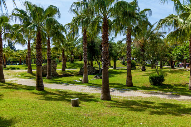 istock Green Park in Side Turkey 1192070506