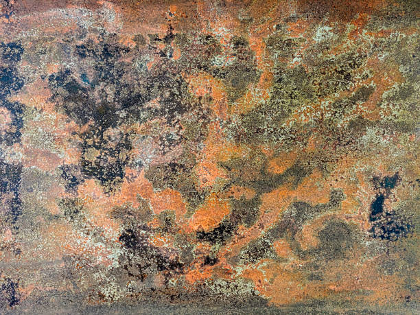Free picture: Close-up lichen on old rust cast iron metal texture