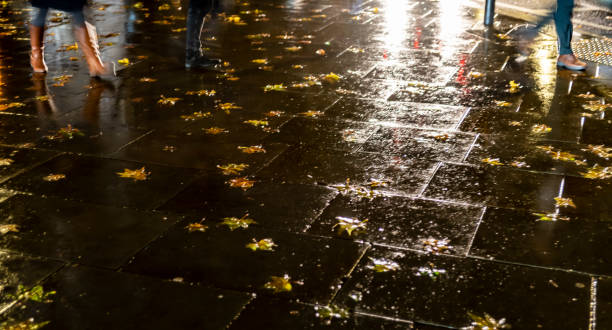 istock Fallen leaves on a wet pavement 1192072746