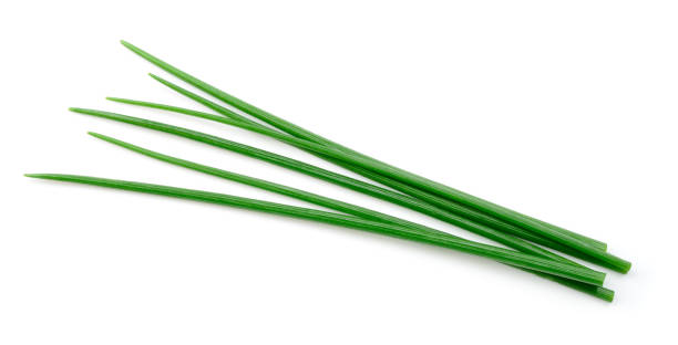 istock Chives isolated. Young green onion. 1192074163