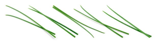 Chives isolated. Young green onion. Collection. Flat lay. Top view. Chives isolated. Young green onion. Collection. Flat lay. Top view. chive photos stock pictures, royalty-free photos & images