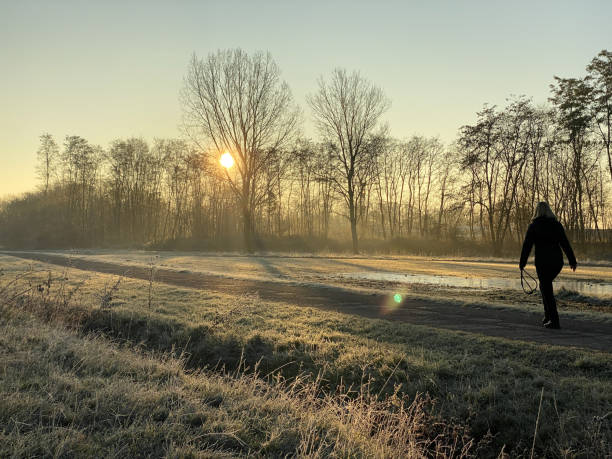 istock Glowing sunrise over the heath 1192076445