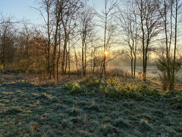 istock Glowing sunrise over the heath 1192077048