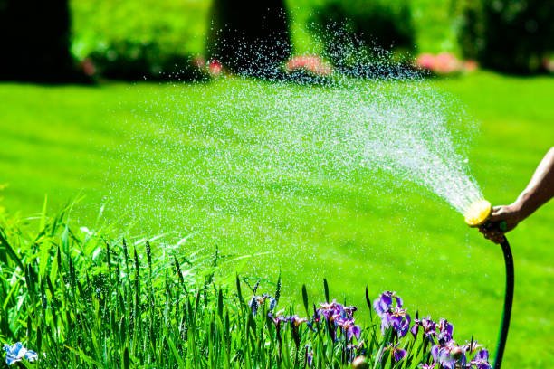 ręcznie węże kwiaty w słonecznym letnim świetle dziennym w parku z selektywnej ostrości i teleobiektywu. - sprinkler park summer spray zdjęcia i obrazy z banku zdjęć