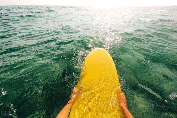 istock Surfer in the sea 1192079026