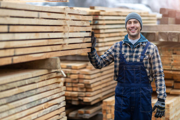istock Young male worker in timber warehouse 1192080355