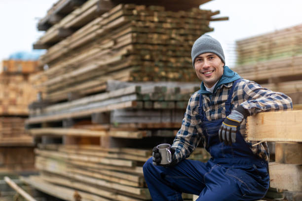 istock Young male worker in timber warehouse 1192080364