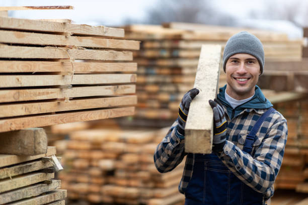 istock Young male worker in timber warehouse 1192080398