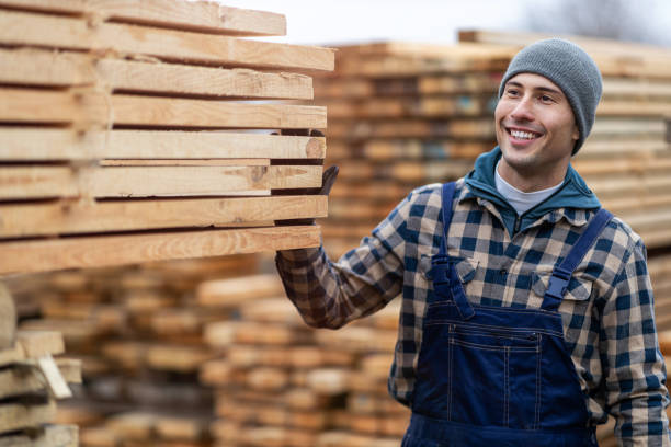 istock Young male worker in timber warehouse 1192080493