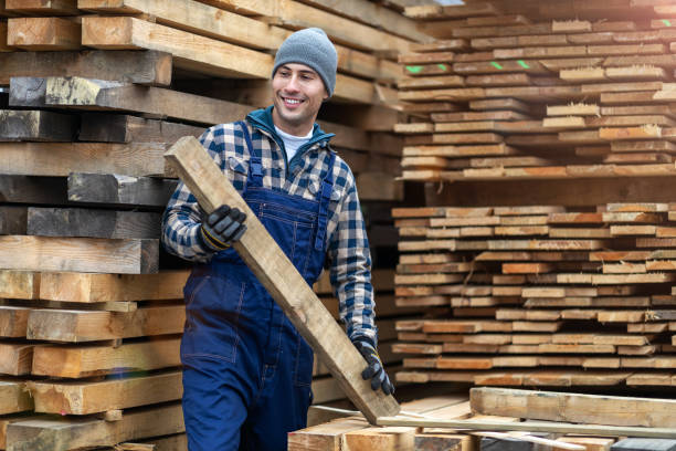 istock Young male worker in timber warehouse 1192081112