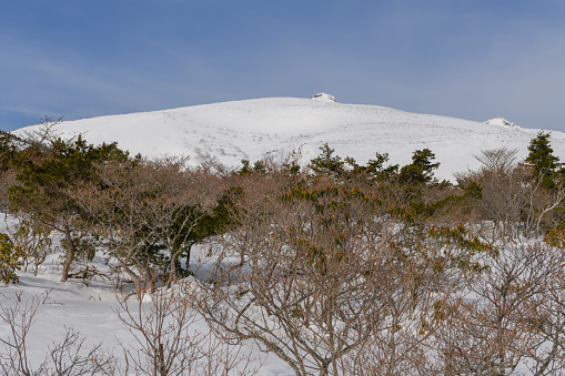 Mount Adatara in the spring
