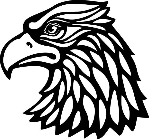 Eagle Head Msacot Isolated On White Background Black And White Vector  Illustration Stock Illustration - Download Image Now - iStock