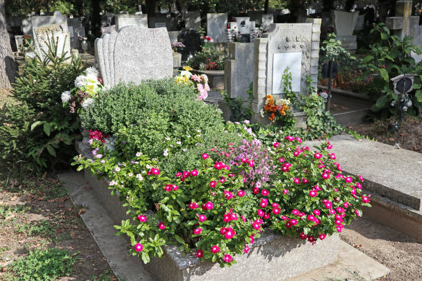 istock Tombstone in the public cemetery 1192088680