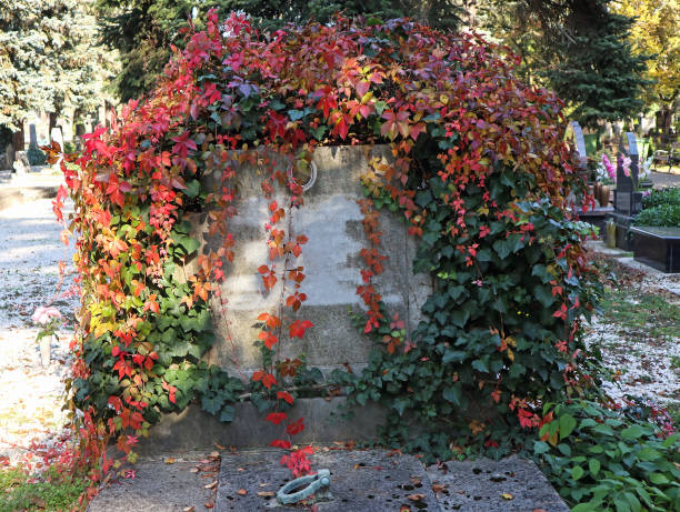 Tombstone in the public cemetery