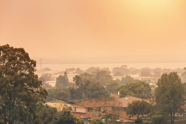 澳大利亞叢林大火：叢林大火產生的煙霧覆蓋了天空，熾熱的太陽在煙霧中幾乎看不到。郊區在煙霧中。災難性火災危險，新南威爾士州，  澳大利亞 - wildfire smoke 個照片及圖片檔