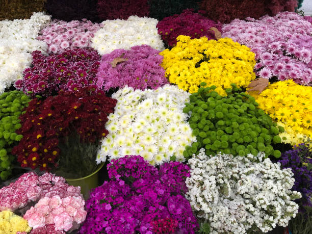 istock Florist shop 1192090567