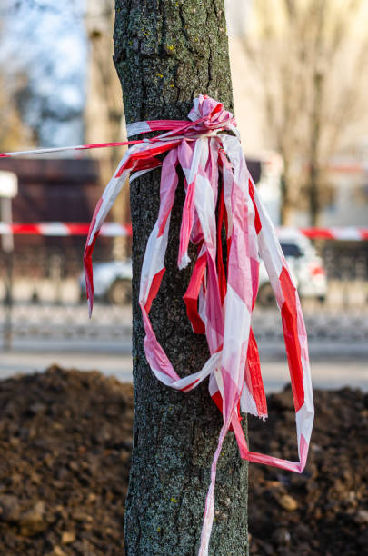istock Warning red and white tape on a tree trunk. The used tape is bundled. 1192094120