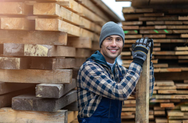 istock Young male worker in timber warehouse 1192094801