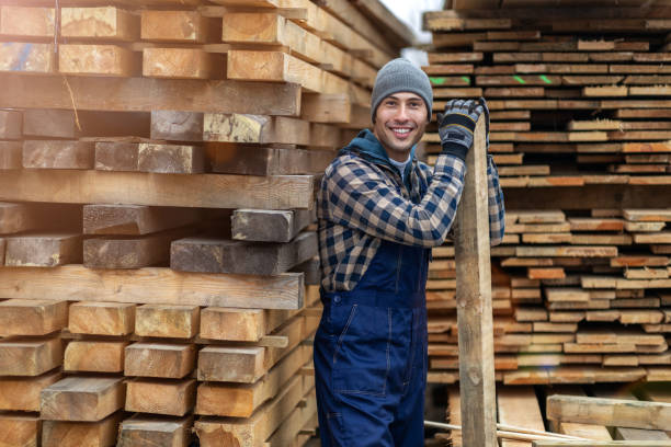 istock Young male worker in timber warehouse 1192094996