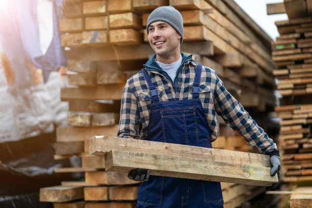 istock Young male worker in timber warehouse 1192095009