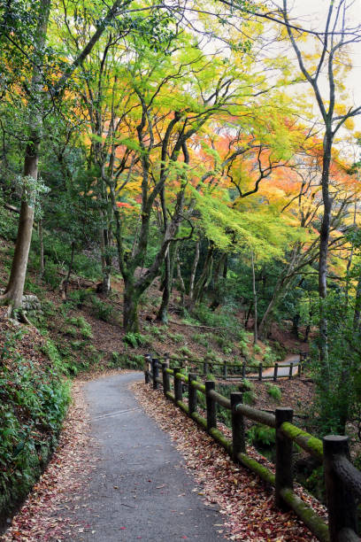 istock Beautiful walkway on the mountain with maple tree in Arashiyama, Japan 1192095961