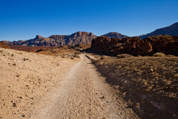 istock Teide National Park on Tenerife, Canary Islands, Spain. 1192097149