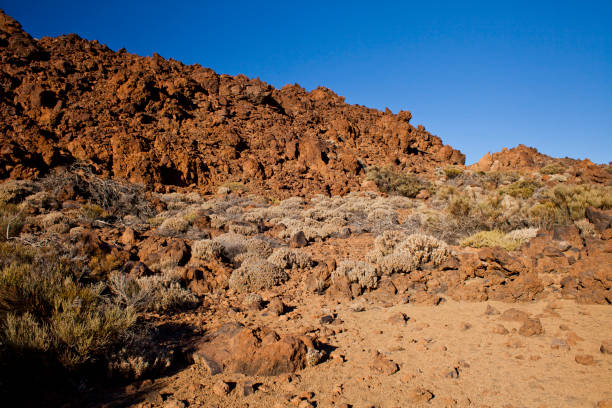 istock Teide National Park on Tenerife, Canary Islands, Spain. 1192097197