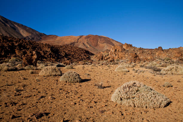 istock Teide National Park on Tenerife, Canary Islands, Spain. 1192097242