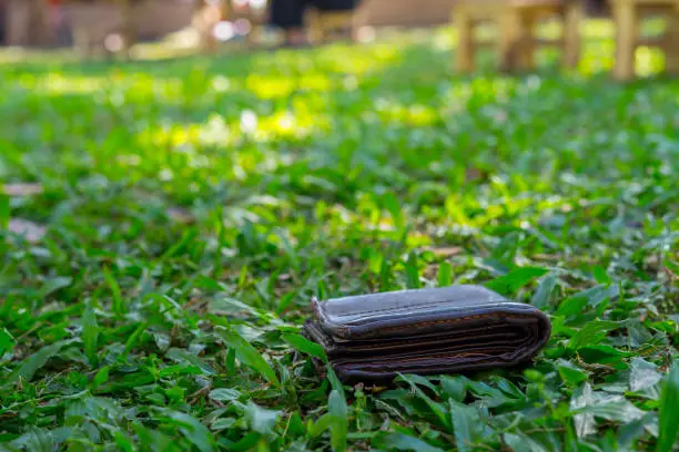 Lost leather wallet with money drop on the grass garden